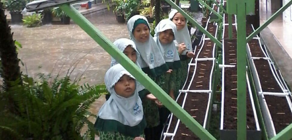 Siswa SDIT Nurul Fikri Bercocok Tanam di Sekolah