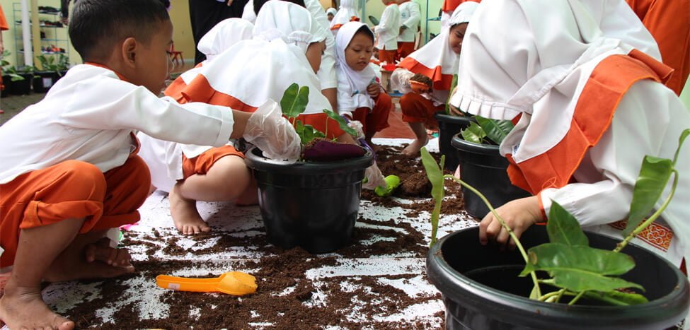 Siswa TKIT Nurul Fikri Bercocok Tanam