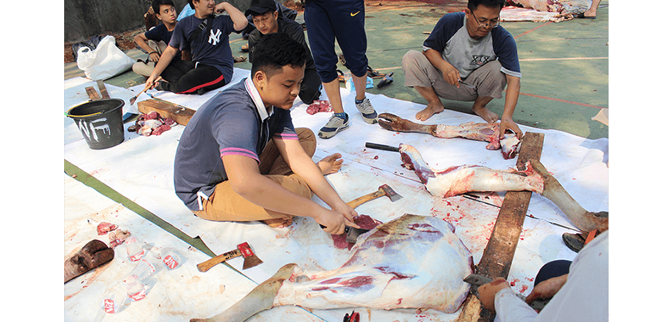 SIT Nurul Fikri Sembelih 72 Hewan Ternak Kurban