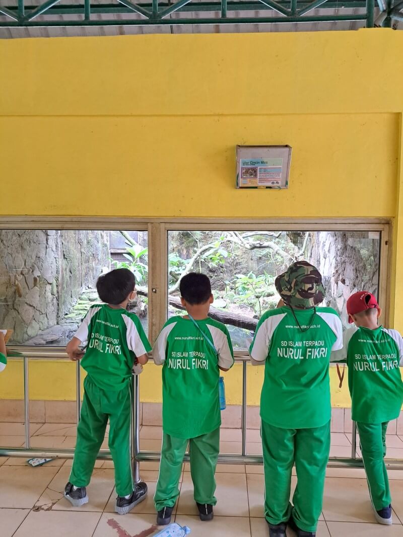 Belajar Mengenal Hewan di Bonbin Ragunan